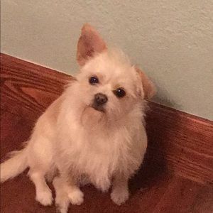 Meet your Posher, Tiffany